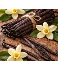 Eterinis aliejus 10ml, Vanilė